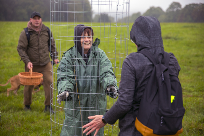 Brdské stromsázení