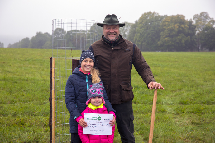 Brdské stromsázení