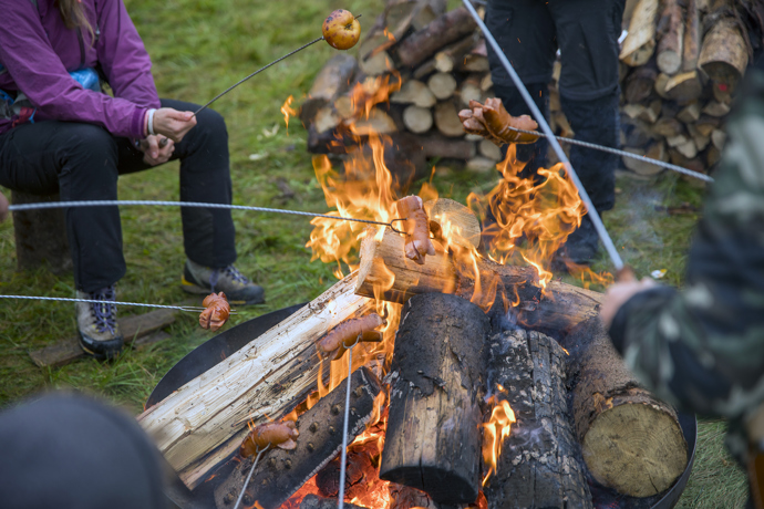 Brdské stromsázení