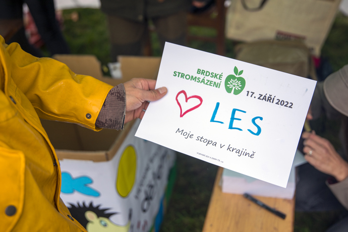 Brdské stromsázení