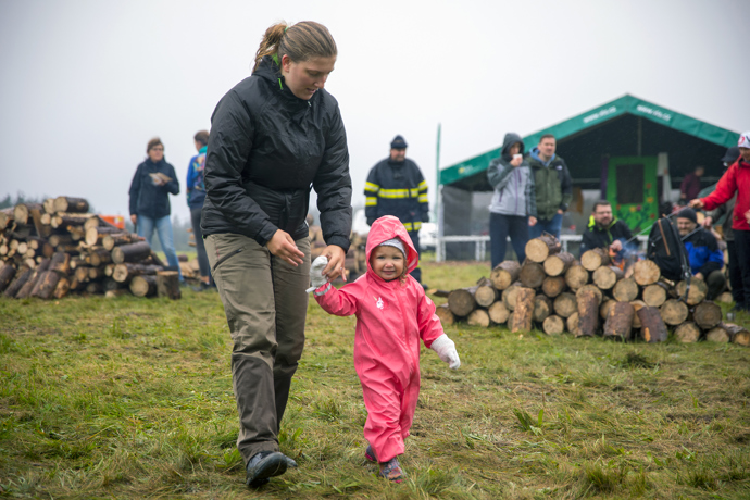 Brdské stromsázení