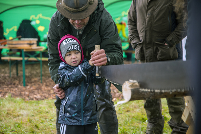 Brdské stromsázení