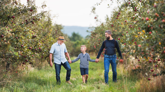 Na Jinecku proběhne druhý ročník Brdského stromsázení