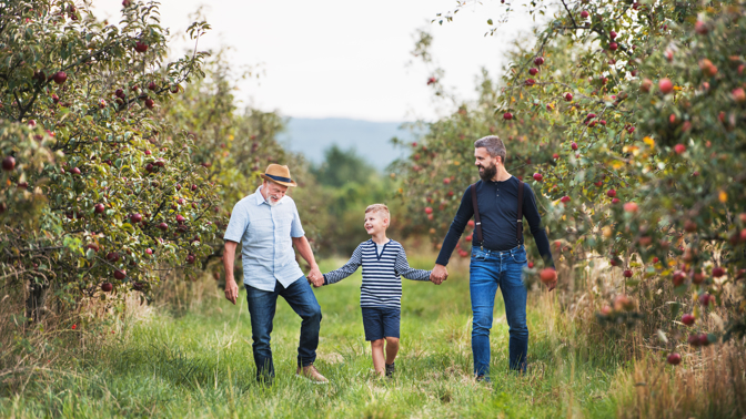 Na Jinecku proběhne druhý ročník Brdského stromsázení
