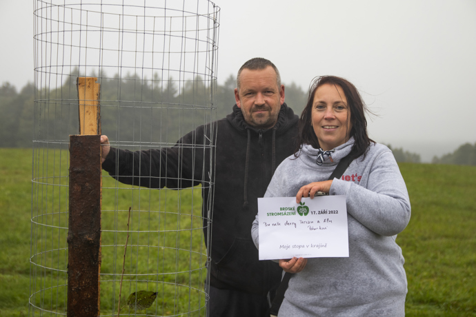 Brdské stromsázení