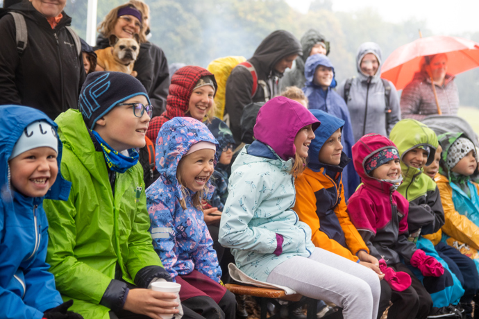 Brdské stromsázení