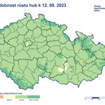 Pravděpodobnost růstu hub k 12. 8. 2023. Je vidět, že v první polovině měsíce srpna byla situace výrazně lepší.
