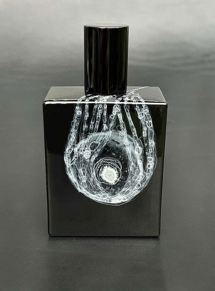 Vůně českého původu s názvem Whispering Fields v sobě snoubí ingredience jako pražený ječmen, osmanthus, vetiver, kurkuma, whisky, jahoda, kůže, pačuli, zázvor, helichrysum, jasmín, kopretina, tuberóza, fialka, iris, hruška, absinth a angelika. Namíchaná šarže parfému obsahuje pouze 60 kusů. Ručně malovaný flakon od značky Space Fluid vyjde na 540 euro, klasický černý obal na 190 euro. 