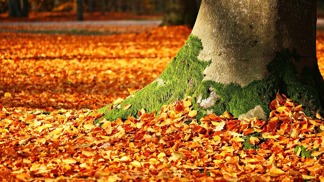 Přivítejte podzim ve velkém stylu. Tyhle vychytávky vám s tím pomůžou