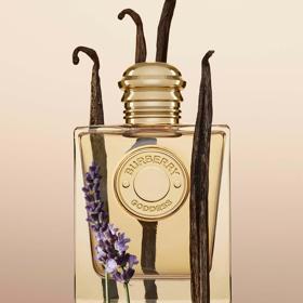 Zlatá bohyně od značky Burberry voní po vanilce a levanduli. Burberry Goddess, 50 ml, 2 300 Kč v Marionnaud
