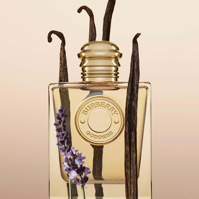 Zlatá bohyně od značky Burberry voní po vanilce a levanduli. Burberry Goddess, 50 ml, 2 300 Kč v Marionnaud