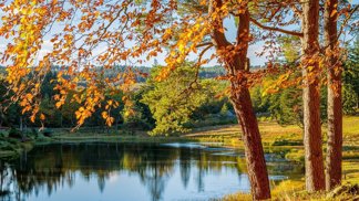 Podzim letos nebude! Užijte si, že léto neztrácí sílu!