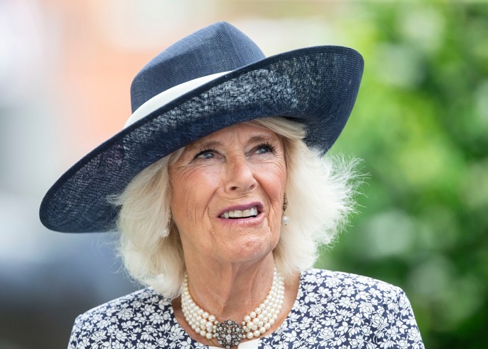 Královna choť Camilla nemá podle expertky na britskou královskou rodinu cit pro módu a nijak ji to netrápí.