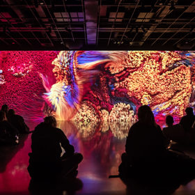 Letos nastupuje s tříletým programem Ekosystémy.