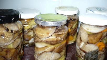 FOTO: Na omáčky se hodí tužší houby.