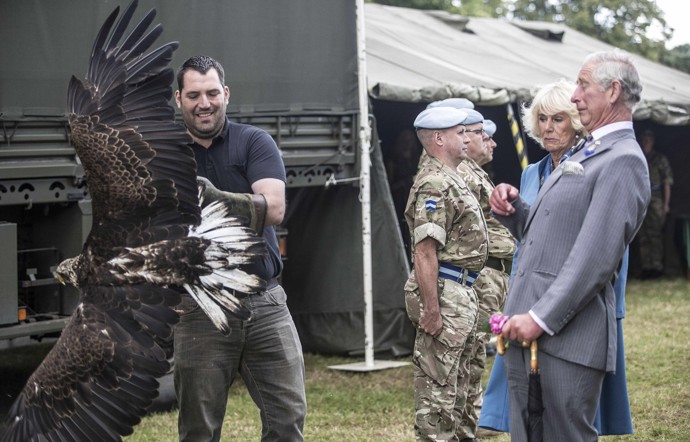 Karel s Camillou uhýbají před orlem bělohlavým jménem Zephyr, který znenadání proletěl kolem nich na slavnosti v Sandringhamu v červenci 2015
