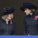 ... a náušnice s perlou ze šperkovnice královny Alžběty II. Kabát jí zdobily hned tři květy vlčího máku - spekuluje se, že jde o připomínku tří bratrů princezniny prababičky, kteří zahynuli v první světové válce. I když to Kate v neděli jako vždy slušelo, jedno zarazilo všechny fanoušky královské rodiny. Máma tří dětí působila u památníků strhaným dojmem. A nebylo to jen tradiční smuteční atmosférou. Oproti roku 2019 jako by zestárla o deset let.