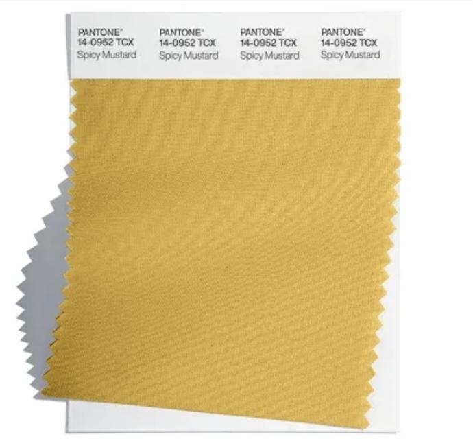 Odstín PANTONE® 14-0952 TCX Spicy Mustard.
