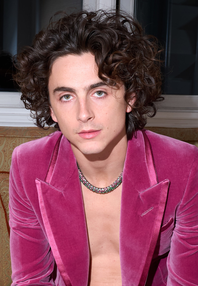 Timothée Chalamet doplnil fuchsiový komplet unikátním šperkem, na jehož výrobě se sám podílel. Náhrdelník z luxusního klenotnictví Cartier měl připomínat ústřední motiv nového snímku Wonka, cukrovinku. „Šperky Cartier jsou dlouhá léta mým oblíbeným doplňkem pro zvláštní příležitosti. Mladý Wonka je plný barev, ambiciózní a geniální a tento náhrdelník je poctou této postavě i její vynalézavosti,“ řekl ke spolupráci s Cartier Timothée Chalamet.