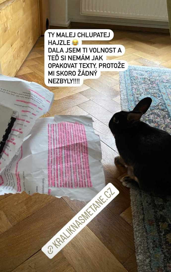Anna Fixová občas čelí různým náladám Pana Čudla.