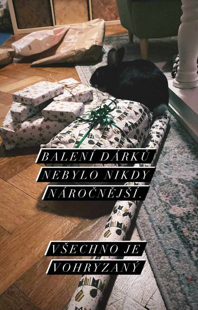 Anna Fixová balí s Panem Čudlem i vánoční dárky.