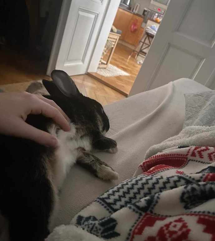 Pan Čudl může směle nahradit psa nebo kočku.