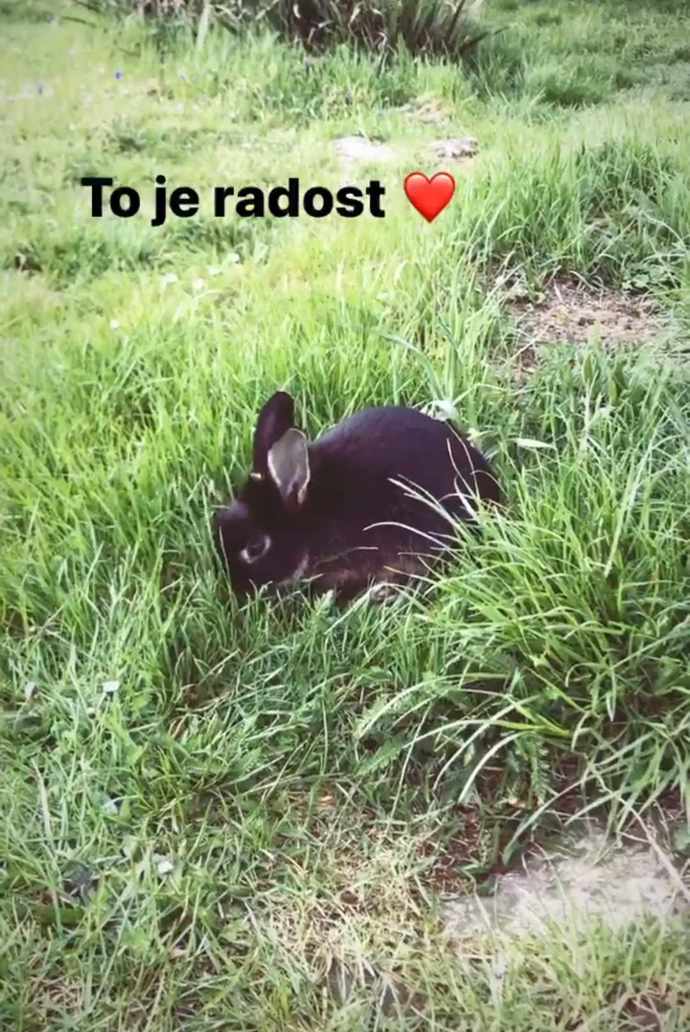 Anna Fixová má radost, když se Pan Čudl může vyvenčit v čerstvé trávě.