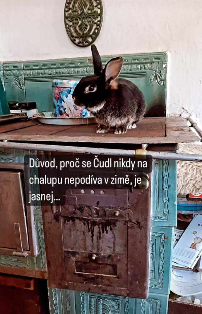 Anna Fixová svého králíka rozmazluje kvalitními granulemi.