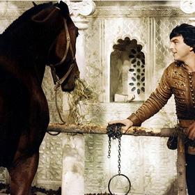 Během natáčení jízdy na koni se Trávníčkovi splašil kůň.