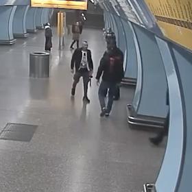 Policie pátrá po gaunerovi, který na revizory vytáhl mačetu.