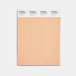 Odstín Peach Fuzz nese ve vzorníku Pantone označení 13-1023.