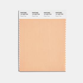 Odstín Peach Fuzz nese ve vzorníku Pantone označení 13-1023.