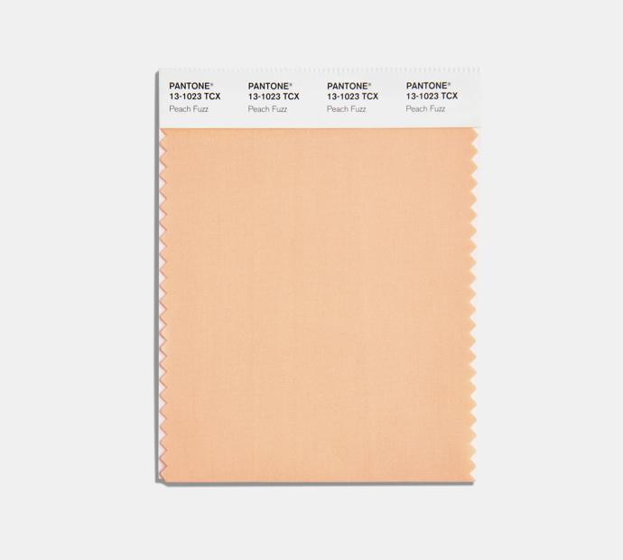 Odstín Peach Fuzz nese ve vzorníku Pantone označení 13-1023.