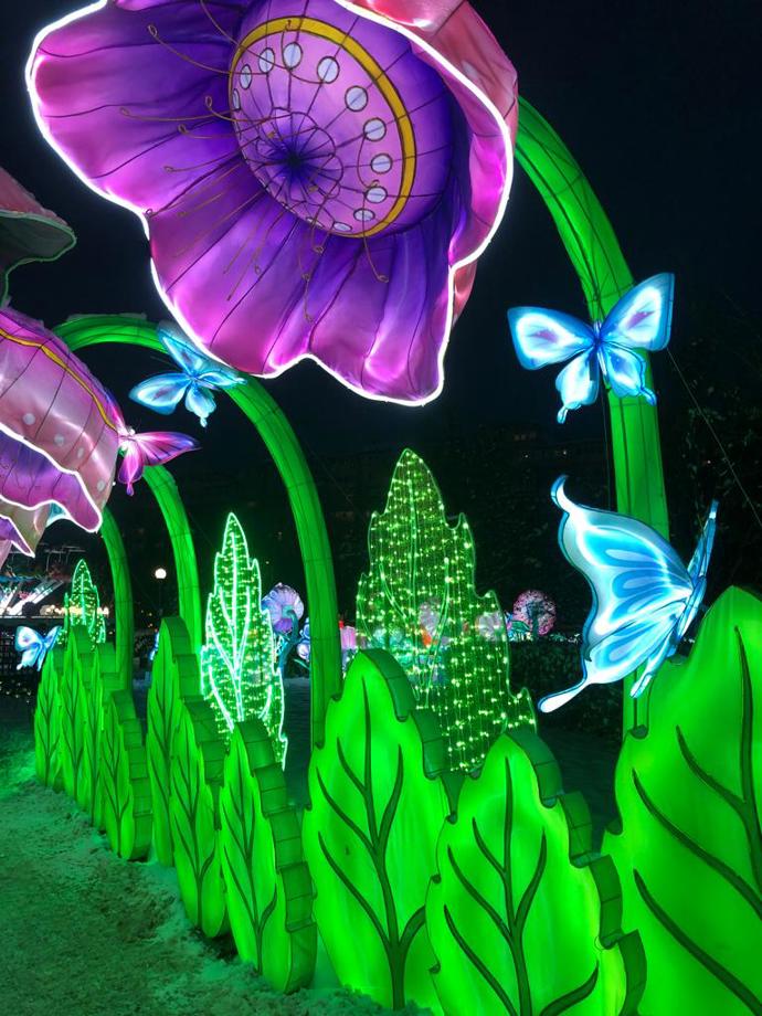 Krásné světelné instalace a další zábavu si můžete užívat až do 21 hodin.