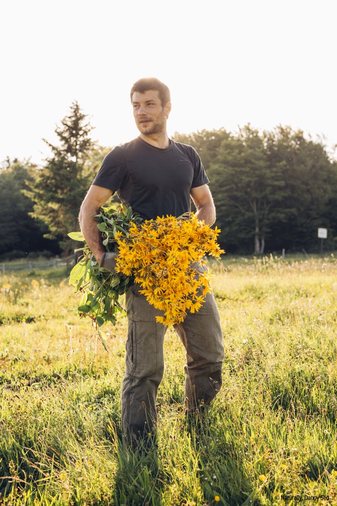 Rostliny ke zpracování dodává do výrobního střediska BOIRON řada pěstitelů, se kterými má společnost mnohaleté vztahy.