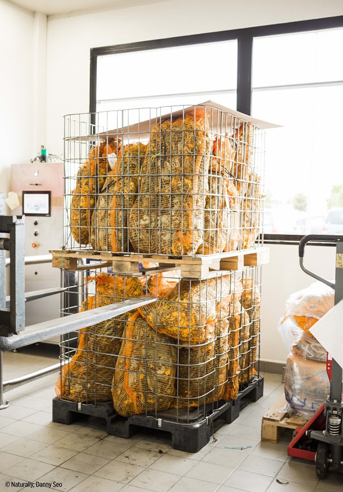 Dle pokynů musí být každá čerstvá rostlina zpracována do 48 hodin, s kontrolami se proto začíná co nejdříve poté, co jsou rostliny do výrobny přivezeny.