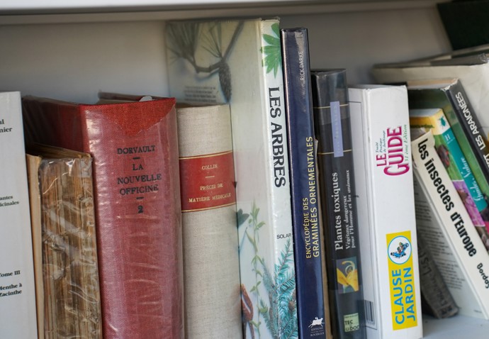 Botanická kontrola probíhá bezprostředně po přivezení rostlin. Jsou prohlédnuty a je ověřen jejich druhu pomocí botanických klíčů.