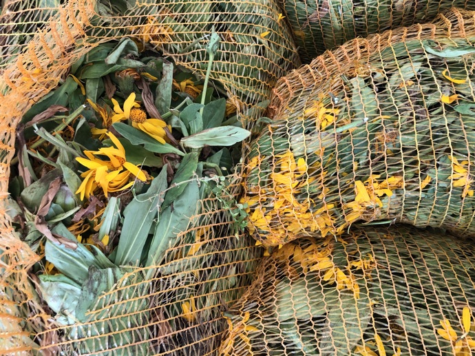 Kvalitu dodávaných surovin zaručují pravidelné kontroly na místech sběru, jejich botanická identifikace a přísná kontrola při příjmu i v místech jejich zpracování.