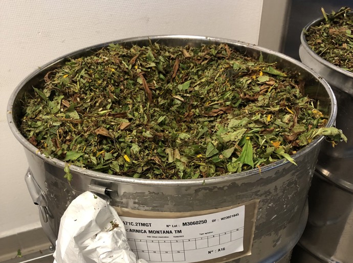 Pomocí macerace se z rostlin získává tzv. matečná tinktura.