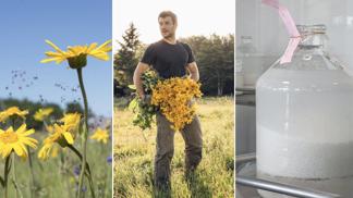 Kuličky pod jazyk: Objevili jsme ve francouzské laboratoři tajemství výroby homeopatik