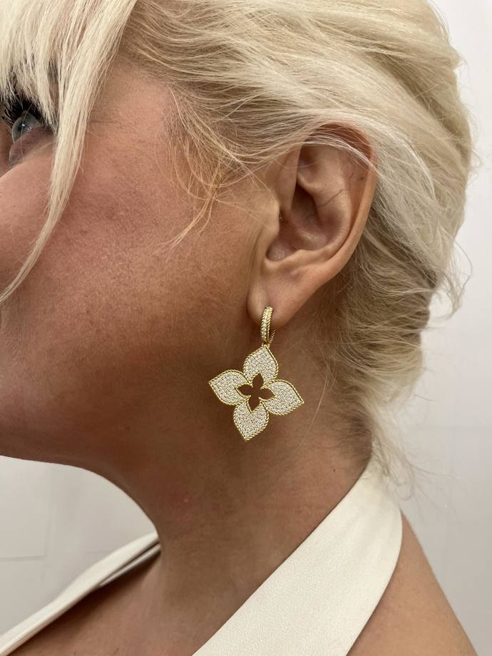 Také spisovatelka Bára Nesvadbová vynesla na ples diamantové šperky Roberto Coin.  Náušnice a prsten z 18k zlata s diamanty z kolekce Venetian Princess, prsten z kolekce Domino a náramky Pois Moi.