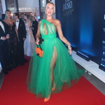 Jeho majitelkou je Nela Slováková, která si v tylovém modelu s nekonečně vysokým rozparkem vyrazila na letošní Ples jako Brno. Vedle příliš odhalujícího provokativního živůtku šaty šetřily potřebnými vrstvami i v dolních partiích. A rozparek ukončený dělením v pase už vlastně ani není potřeba. Stranou společenských konvencí elegantního plesového outfitu je i volba kabelky. Masivní model s výraznými prvky se hodí spíš pro běžný denní provoz než k večerní róbě z tylu.  