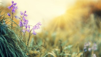 Sbohem zimo, vítej jaro! Užijte si blížící se krásné dny