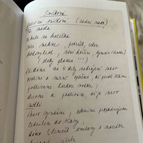 Mnohé recepty Ivety Bartošové jsou Čechům notoricky známé.