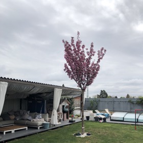 Pohled od domu odhaluje zastřešený letní obývák nebo chcete-li, letní kuchyň.