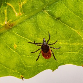 Nepodceňujte prevenci.