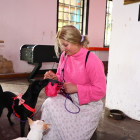 Anička Slováčková říká, že díky fence Jindřišce dodržuje denní potřebu pohybu.