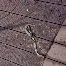 Helena Vondráčková zažila hrůzný zážitek.