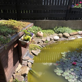 Rybníček na zahradě u domu Karla Vágnera