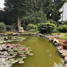 Rybníček byl vybudovaný pro kačenky.